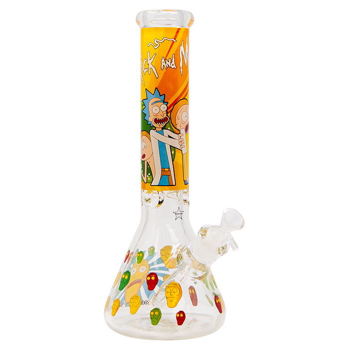 Rick N Morty What You Got 14 Inches Glass Bong