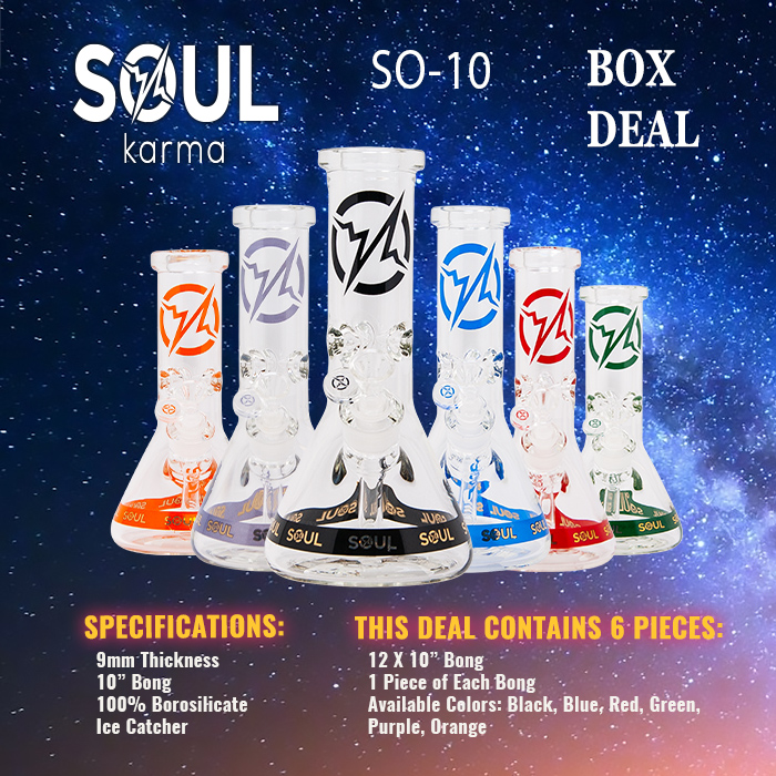 Soul Glass 9mm Thick Glass Beaker Bong 10 Inches Deal of 6