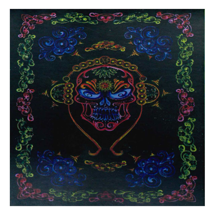 Tie Dye Multi Grateful Dead Music Band Skull Wall Art