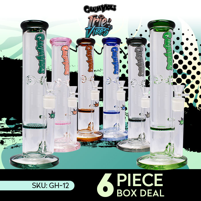 Ganjavibes Honeycomb 12 Inches One Disk Percolator Glass Bong Deal of 6 By Irie Vibes Series
