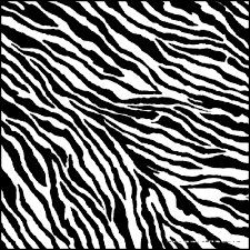 Zebra Skin White Queen Size Double Plush Blanket
