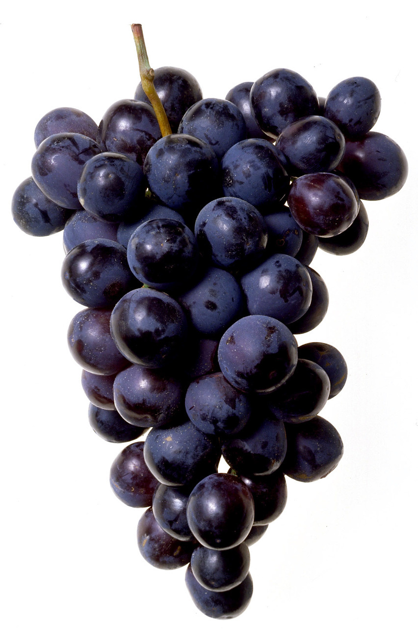 Grape-18mg